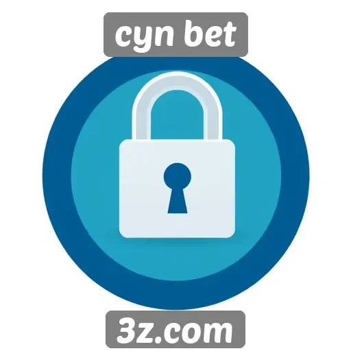 Exploração das medidas de segurança no site Cyn Bet
